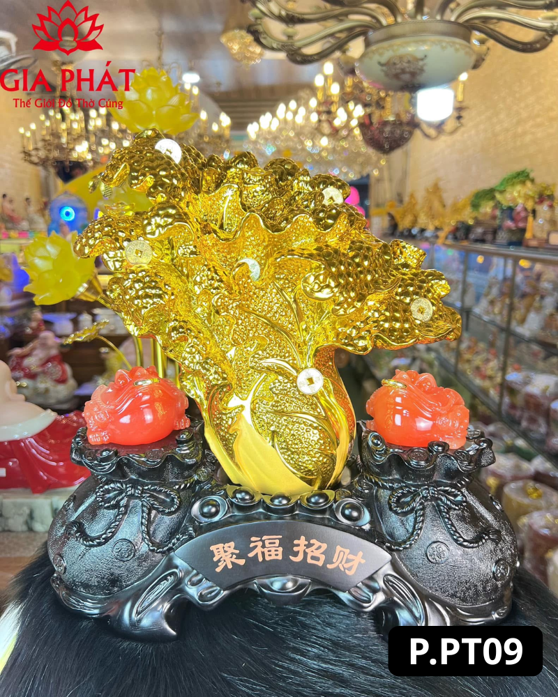 Bắp cải vàng cóc thiềm thừ